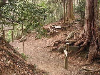 天目指峠