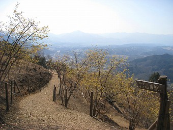 武甲山