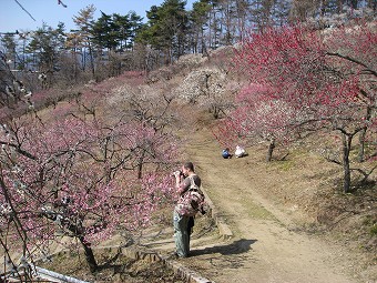 梅百花園