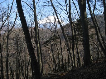 富士山見つつ