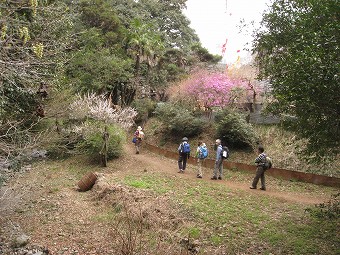 小仏川沿い