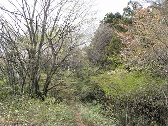 南高尾山稜を大洞山へ