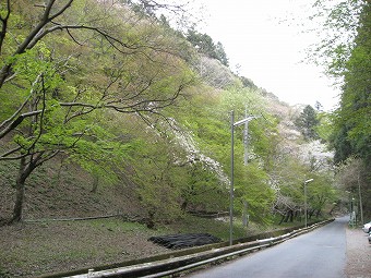 高尾山口駅へ