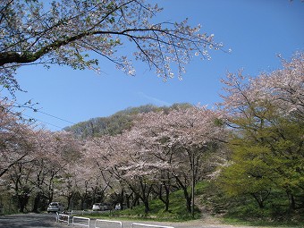 城山町　町民の森へ