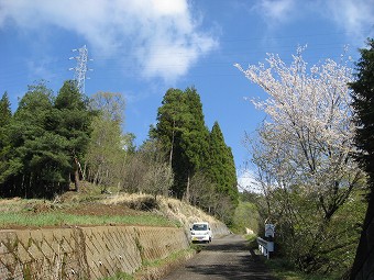 左の送電鉄塔へ