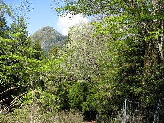 金ピラ山へ