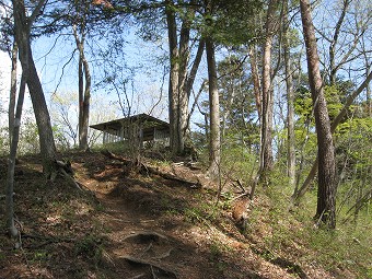 新矢ノ根峠