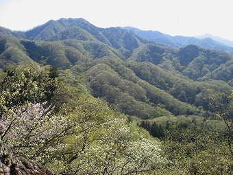 高柄山方面