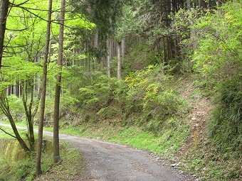 真名井北稜登山口