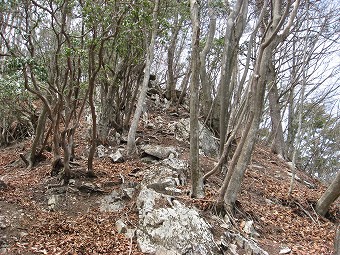 露岩混じりの急登