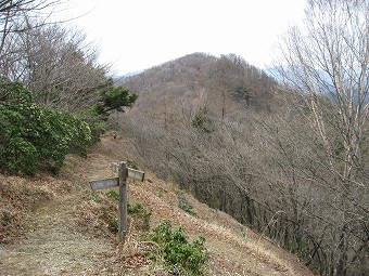 川苔山へ