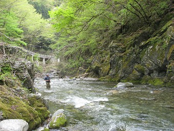 日原川