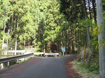 横倉林道分岐