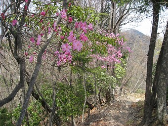 小持山へ