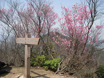 小持山