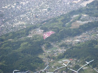 羊山公園・芝桜