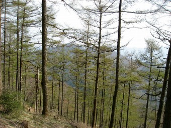 大持山・小持山