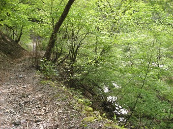 橋立川沿い
