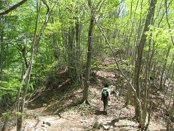 三頭山へ