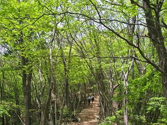 惣岳山へ