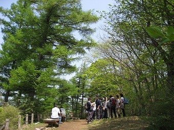 御前山　山頂