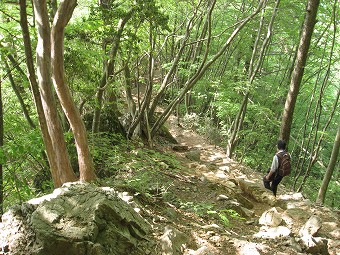 露岩下りあり