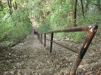 愛宕神社の急階段