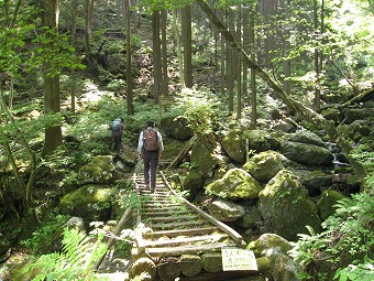 栃寄沢コース　桟橋