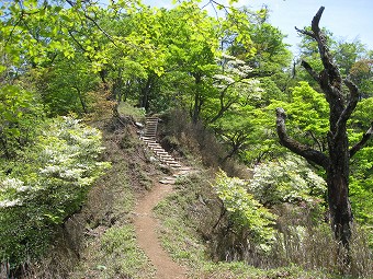 檜洞丸へ