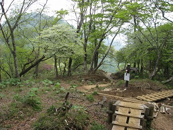 石棚山稜・ツツジ新道　分岐