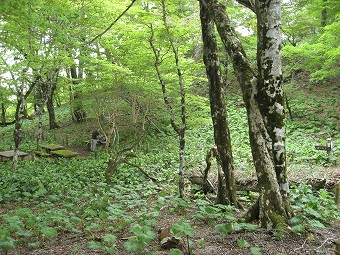 同角ノ頭　分岐