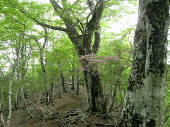 石棚山稜