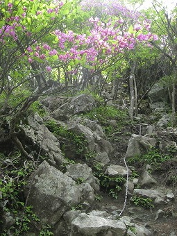 小笄へのクサリ場