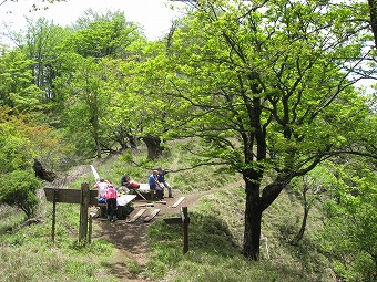 神ノ川分岐