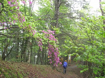 鶏冠山山頂分岐