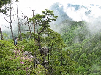 鶏冠山からの谷