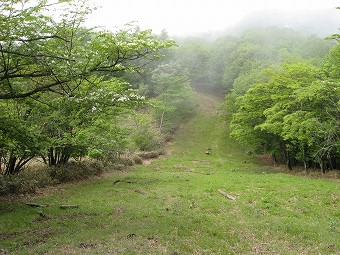 板橋峠　　林道へ