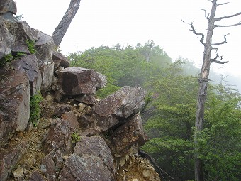 分岐の露岩ピーク