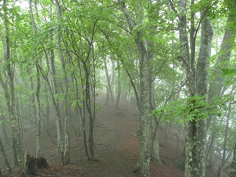 熊倉山へ