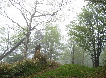 中休場尾根の頭