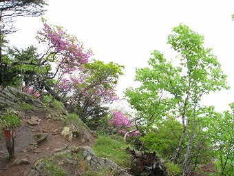 笠取山　東ピーク