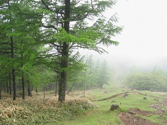 笠取山　急斜面下り