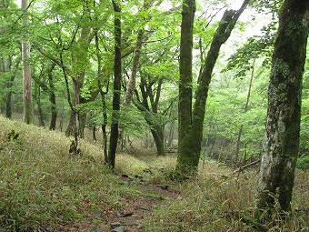 広川へ