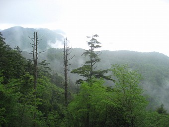 飛龍山方面