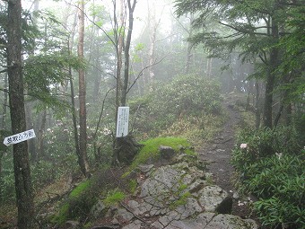 唐松尾山