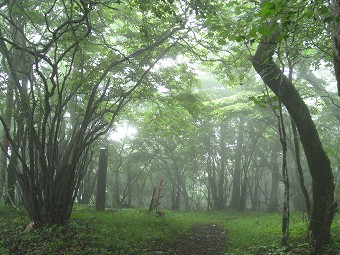 畑尾山