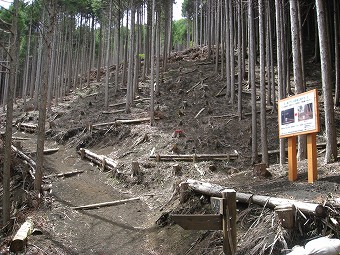 立山登山道入口