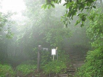 三国山東登山口