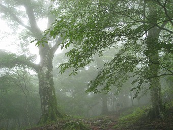 三国山へ