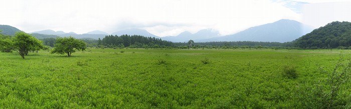 小田代ヶ原